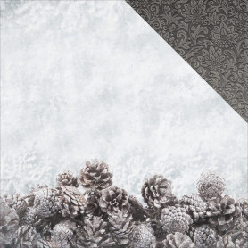 Papier 30x30 Glacial 1f – Collection Frosted Kaisercraft