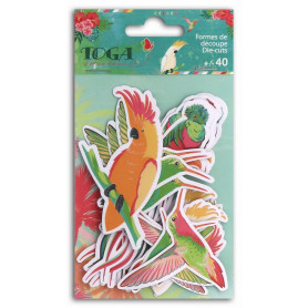 Die-cuts 40 formes découpées Tropical Paradise - Toga