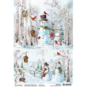 Papier de riz A4 Cards - 1 feuille - Northern Lights - Ciao Bella Papercrafting