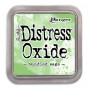 Distress Oxide Ink pad Bundled Sage - Tim Holtz Ranger