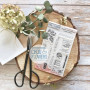 Tampons Imagine - Esprit Cottage - Chou and Flowers