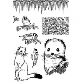 Tampons Ermine & Goldfinch 8pc – Ciao Bella Stamps