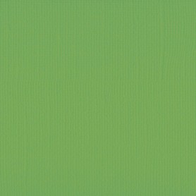 Papier 30x30 Texturé Frog 1f – Florence de Vaessen Creative