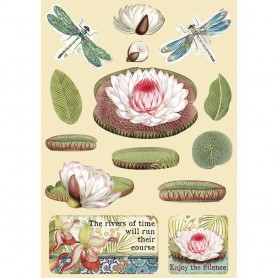 Colored Wooden frame A5 Water Lily - Amazonia - Stamperia