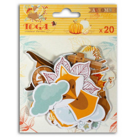 Chipboards en carton 20pc Graines de potiron - Toga