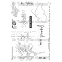 Tampons A Fleur de peau - Harmonie - Mes P'tits Ciseaux