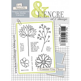 Tampons Comme une fleur - Les Naturels - L'encre et l'image