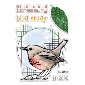 Tampons Bird Study – Sign of the Times - Ciao Bella Stamps