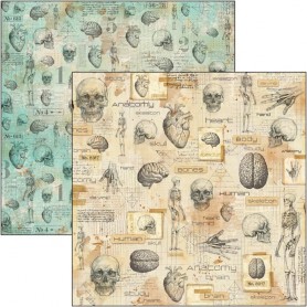 Papier 30x30 Human Anatomy - 1 feuille - Sign of the Times - Ciao Bella Papercrafting