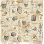 Papier 30x30 Human Anatomy - 1 feuille - Sign of the Times - Ciao Bella Papercrafting