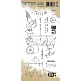 Tampons Gnomes Circus - Little Circus - Chou and Flowers