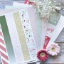 Set de papier A4 Cyclique - Au fil des saisons 10f - Chou and Flowers