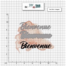 Dies et tampon Bienvenue 3 pc - Diy & Cie
