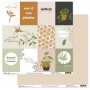 Set de papier 30x30 Jungle d'intérieur 6f et 1 planche à découper - Béatrice Garni illustration