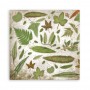 Set de papier 20x20 Romantic Garden House 10 feuilles - Stamperia
