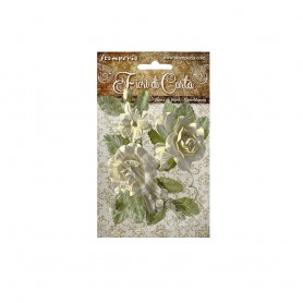 Set Paper Flowers Rose Ivory - Fiori di Carta - Stamperia