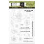 Tampons Les Hellébores 18 pc - SO'Nature - Sokaï