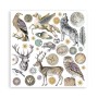 Set de papier 15x15 Cosmos Infinity 10 feuilles - Stamperia
