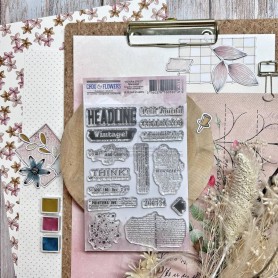 Tampons Newspaper - Victoria Street - Chou and Flowers