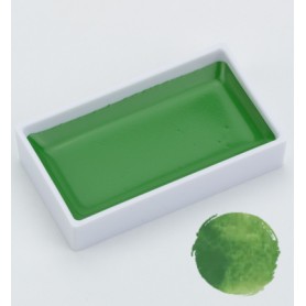 Godet d'Aquarelle Ivy Green nr 505 - Gansai Tambi - Kuretake