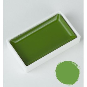 Godet d'Aquarelle Sap Green nr 53 - Gansai Tambi - Kuretake