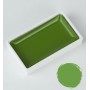Godet d'Aquarelle Sap Green nr 53 - Gansai Tambi - Kuretake