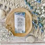 Tampon Le Campeur - Globe-Trotter - Chou and Flowers