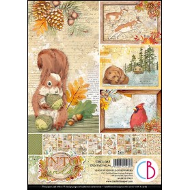 Set de papier A4 Into the Wild 9f - Creative Pad Ciao Bella Papercrafting