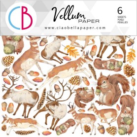 Fussy Cut Vellum 15x15 Into the Wild 6 feuilles – Ciao Bella Papercrafting