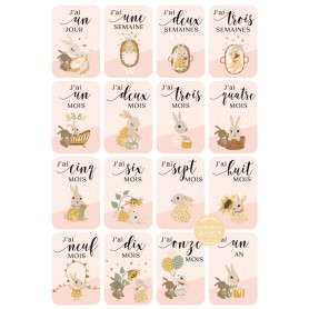 Cartes Etape Bébé Rose Saumon 16 pc - A Petits Pas - Florilèges Design
