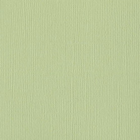 Papier 30x30 Texturé Aloe Vera – Bazzill
