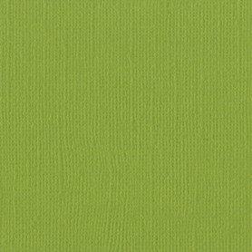 Papier 30x30 Texturé Parakeet - Perroquet – Bazzill