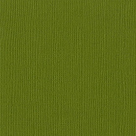 Papier 30x30 Texturé Hillary - Vert – Bazzill