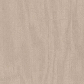 Papier 30x30 Texturé Twig - Beige Brindille – Bazzill