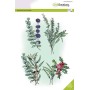 Tampons Christmas branches eucalyptus A5 - Craft Emotions Clear Stamps