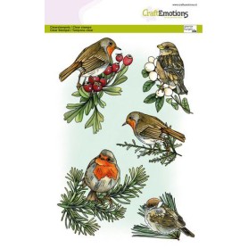 Tampons Birds in Winter A5 - Craft Emotions Clear Stamps
