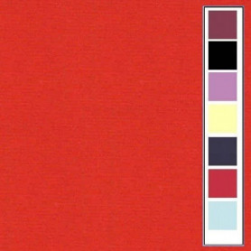 Carton texturé 13,5x27 Rouge Noël 10 pièces