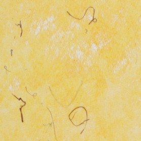 Non-tissé de papier Orange avec fibre naturelle Creapop – Hobbyfun