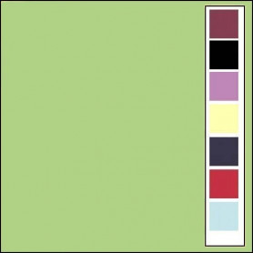 Carton texturé 13,5x27 Vert Printemps 10 pièces