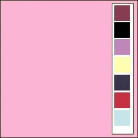 Carton texturé 13,5x27 Rose 10 pièces