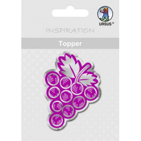 Embellissements Joy M5 Raisins - 8p - Ursus