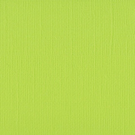 Papier 30x30 Texturé Lime 1f – Florence de Vaessen Creative